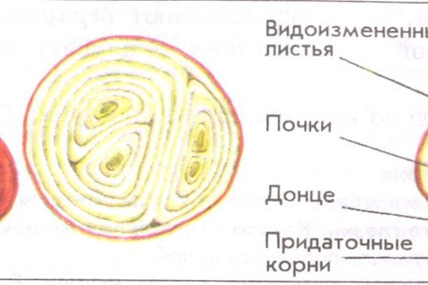 Кракен магазин наркотиков